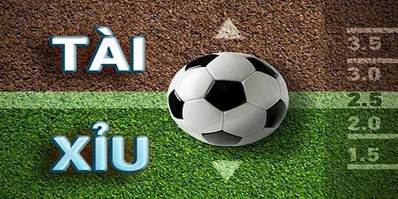Dựa dẫm vào cảm xúc cá nhân