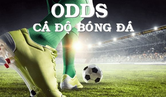 Odds là gì Giải thích đơn giản và dễ hiểu nhất